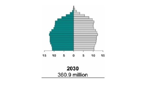 „Piramis” alakú népesedési korfa 2030-ban